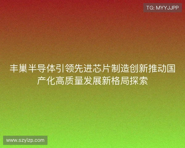 丰巢半导体引领先进芯片制造创新推动国产化高质量发展新格局探索