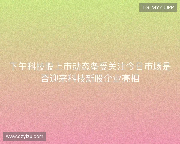 下午科技股上市动态备受关注今日市场是否迎来科技新股企业亮相